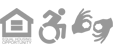 footer-icons
